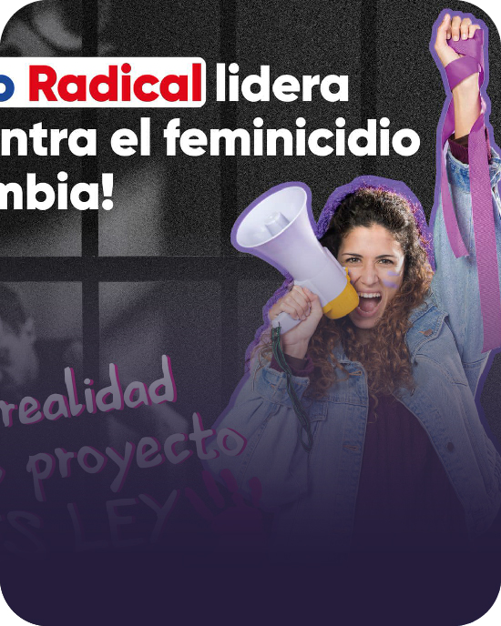 Ley No. 2356 del 28 de mayo de 2024