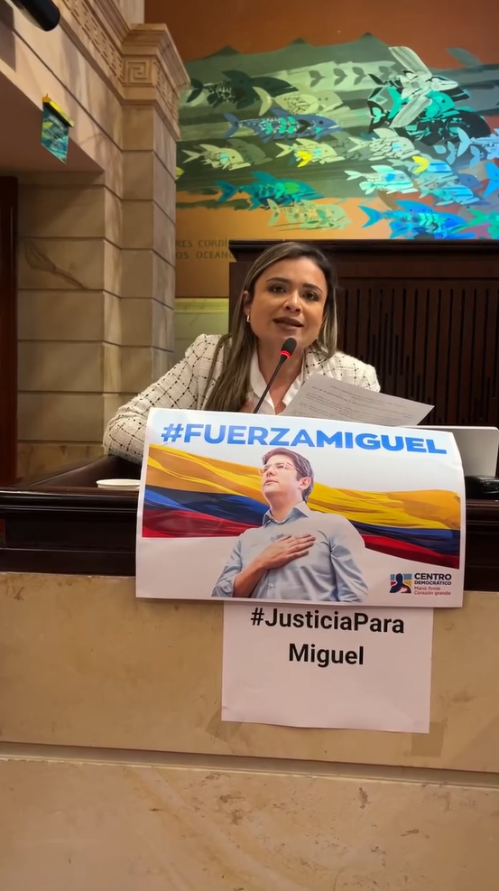 Ley Miguel Uribe, congresista, senadora, la del sombrero, Lina Garrido Representante de Arauca